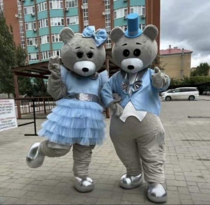 Аренда Мишек ТЕДДДИ