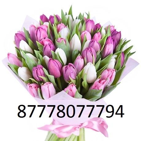 Тюльпаны к 8 марта