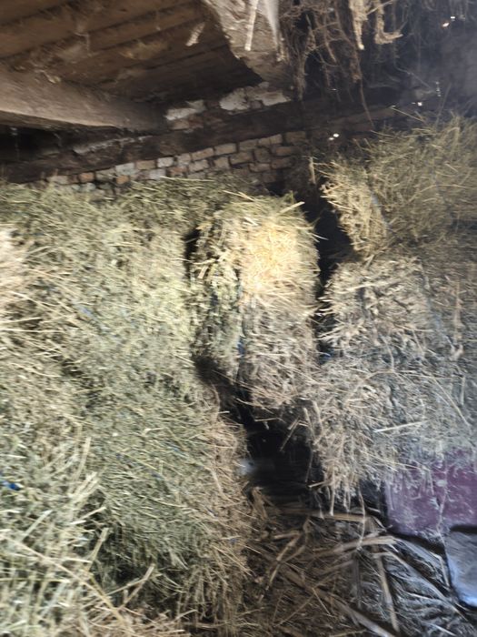 Baloți dreptunghiulari de vanzare