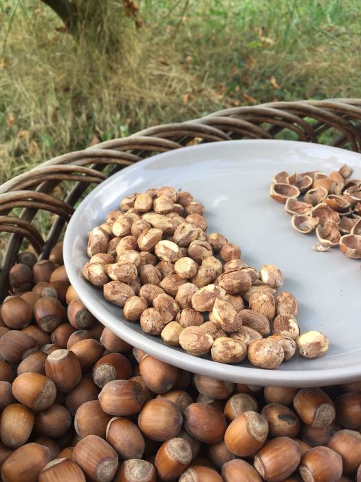 Alune de pădure bio