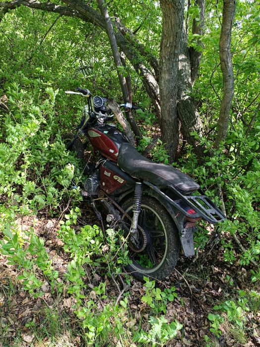Продам альфу gs)