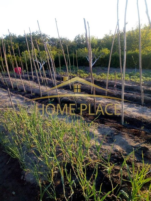 Продава се Къща в с. Мали извор, Област Добрич - 110 кв.м за 437 €/кв.м - Снимка #10