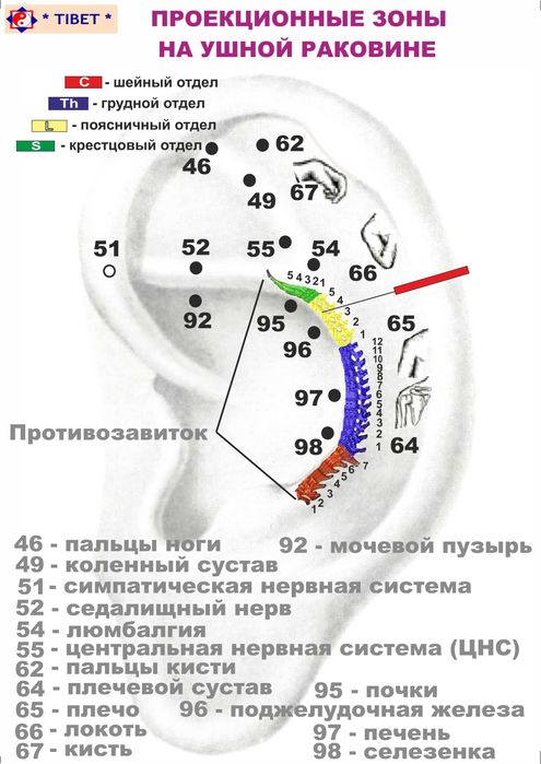 Семинар по обезболиванию болей в спине / Белдаги оғриқларни йўқотиш