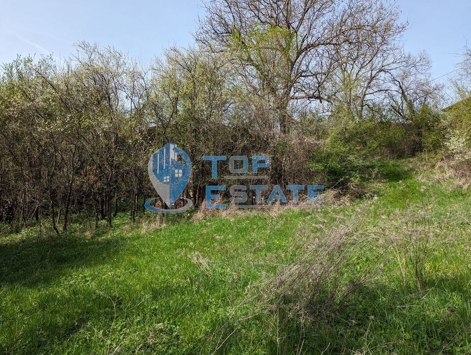 Продава се Парцел в Елена - 1000 кв.м за 12 €/кв.м - Снимка #7