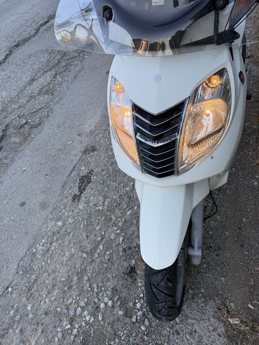 Malaguti password 250cc