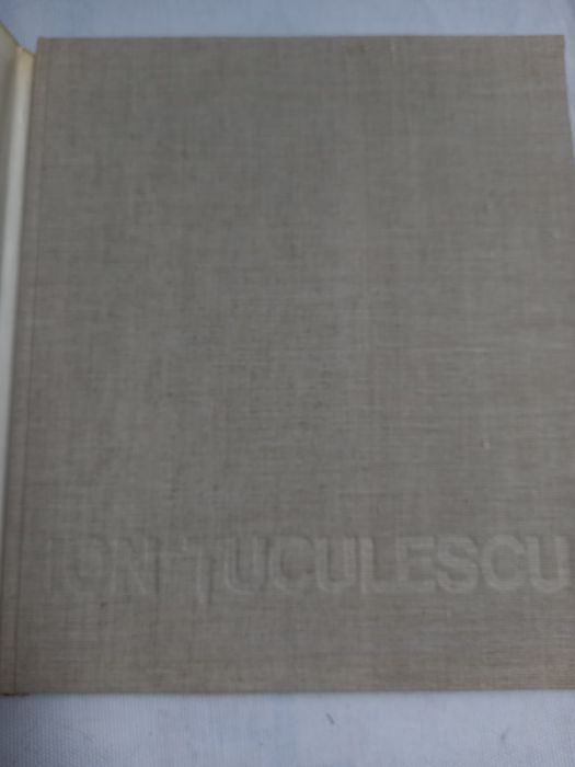Album picturi Ion Tuculescu 1972