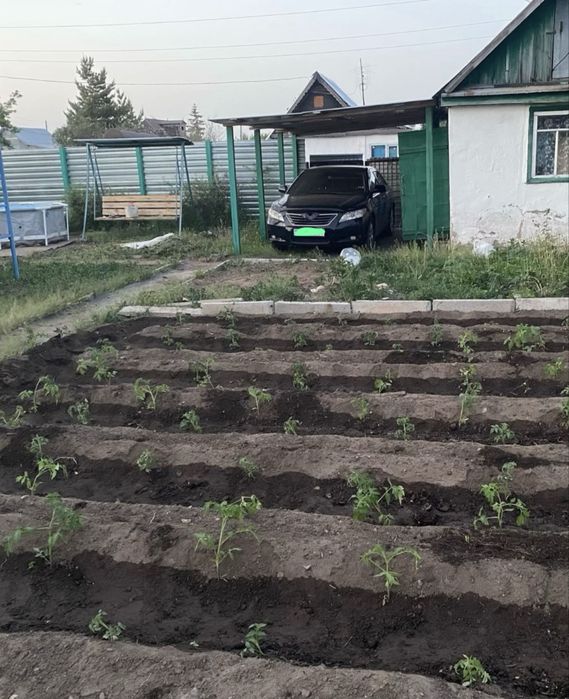 Срочно продам дачу на центральном улице