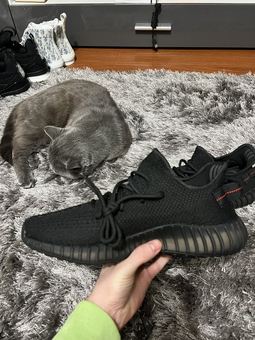 Yeezy boost 350 bred v2