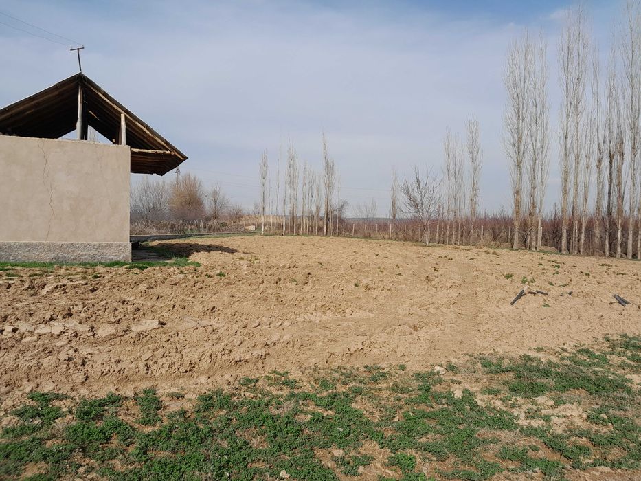 Участка сотилади 15 сотих