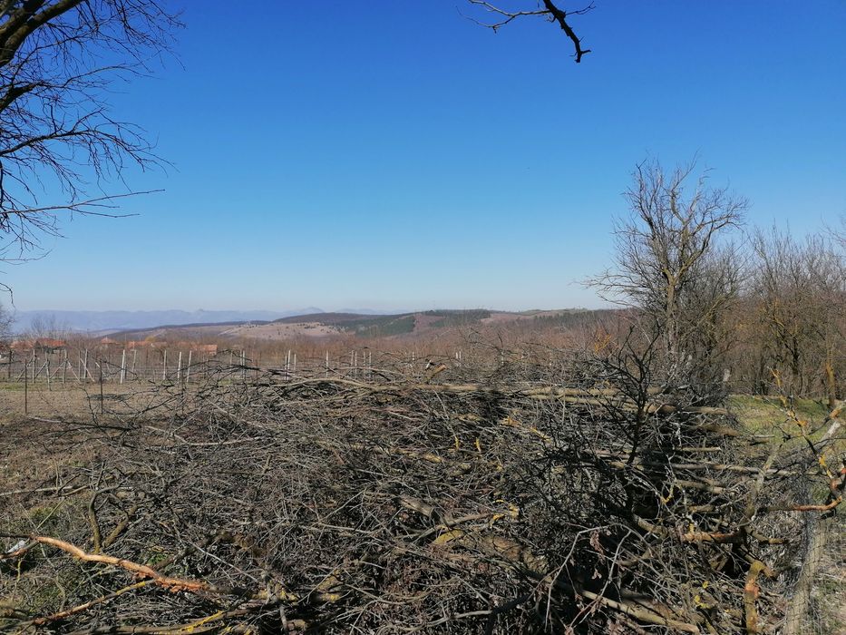 Teren intravilan ieftin la Straja(lângă Alba Iulia)