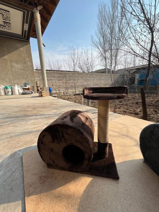 Домик для кошек  и реставрация