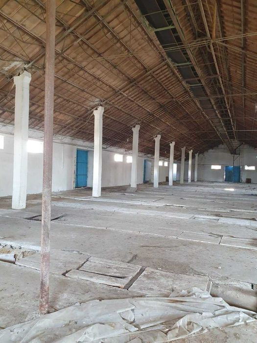 De vanzare baza de cereale cca 40.000 mp, intravinan, Oras Vânju Mare