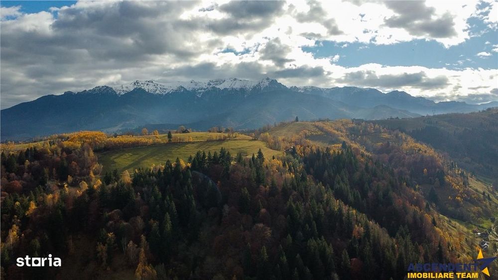 FILM! Teren intravilan spectaculos,1.000 mp,Moieciu,panorama 180 grade