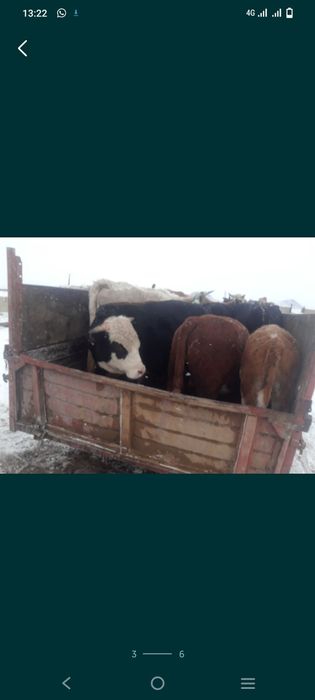услуги газ53 самосавал межгород по городу
