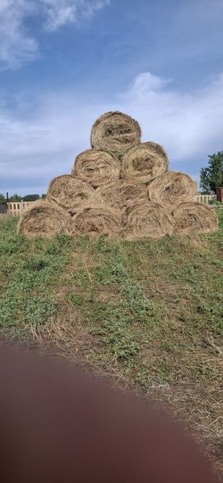 Продам сено 8тысяч