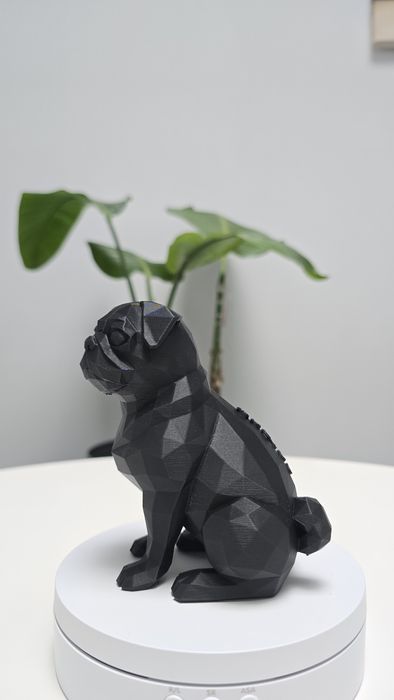 Caine Mops Low poly