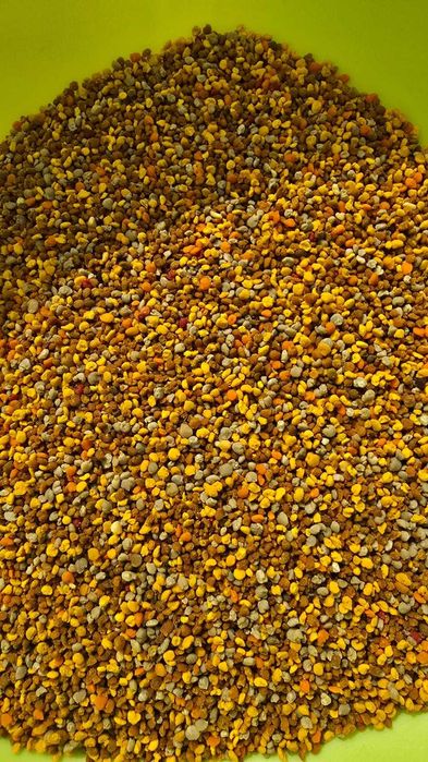 Polen crud proaspăt