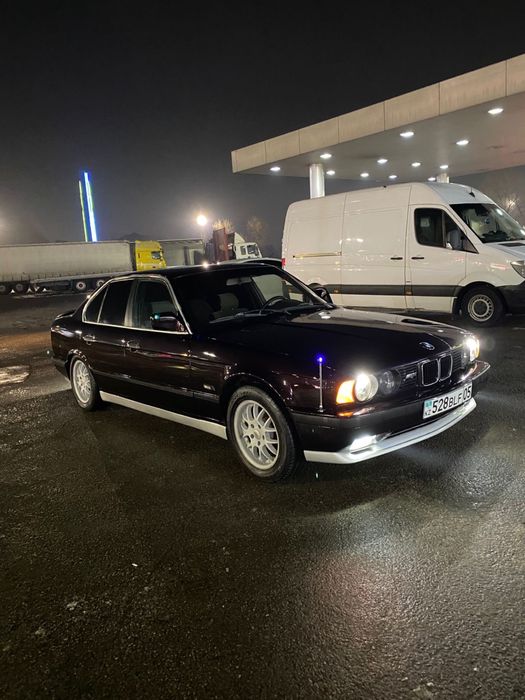 Маляр любой слозности