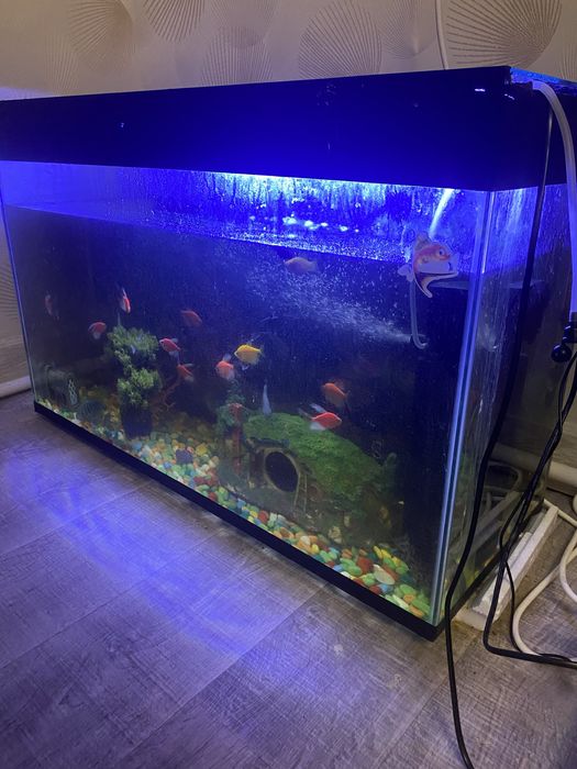 Продам большой аквариум