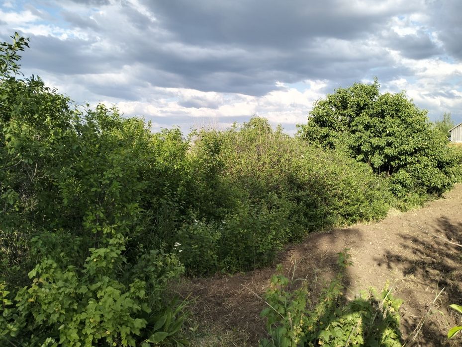 Продам дачу на 2 краснаярский