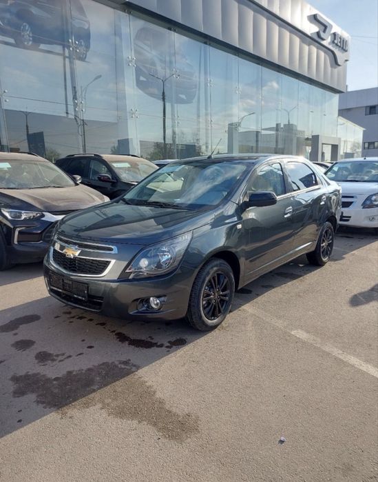 Cobalt MCM midnight 2026 GK2  mokriy