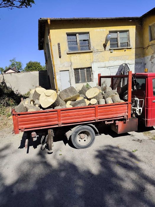 Рязане кастрене на опасни дървета