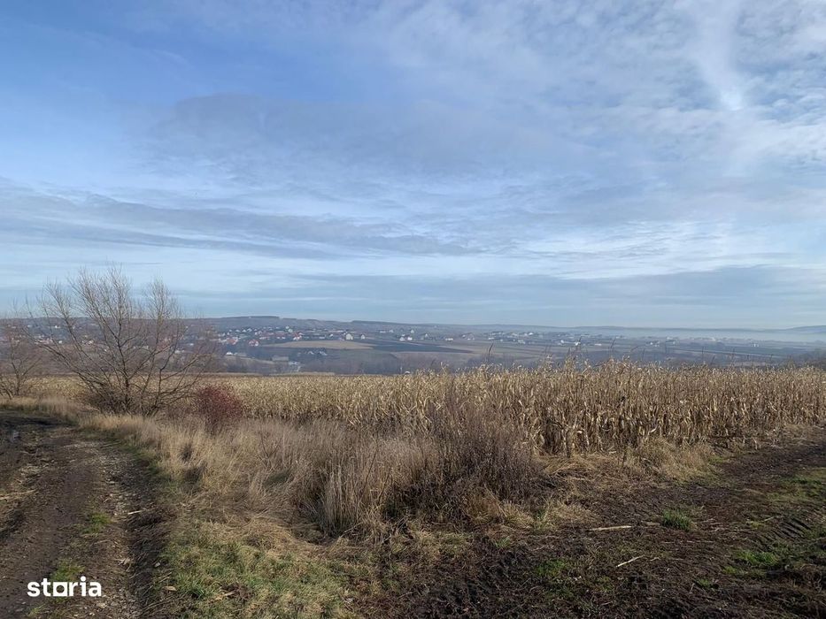 Teren intravilan de vânzare | Cajvana | 7.800 mp