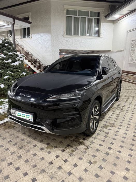 Byd chimpiyon 2024-yil