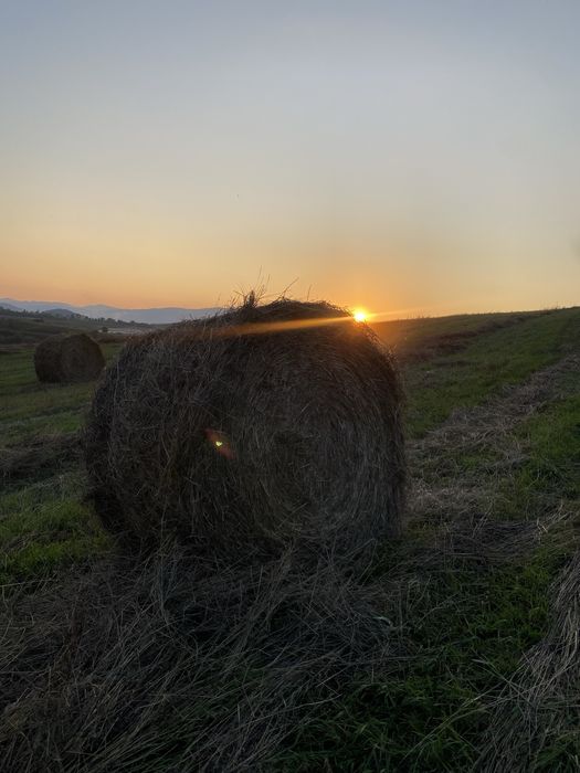 Продам сено в рулонах
