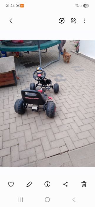 Kart de vanzare  vârstă 4 9 ani