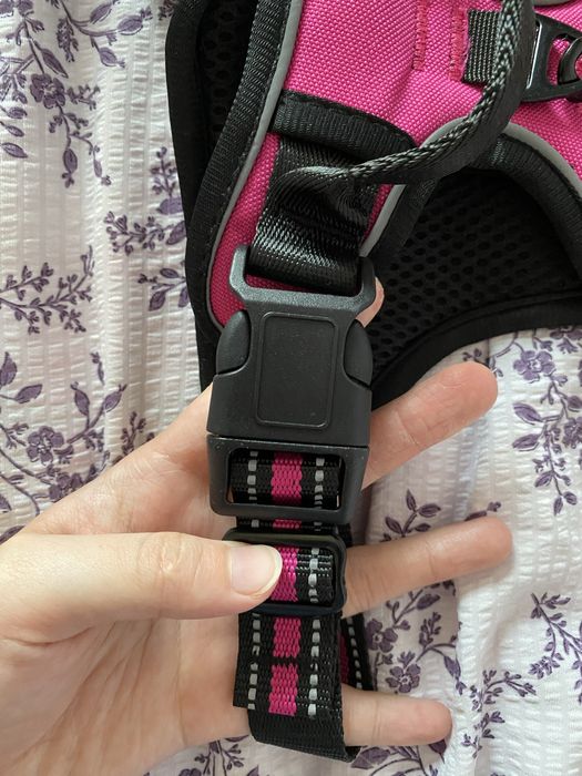 Шлейка для собаки