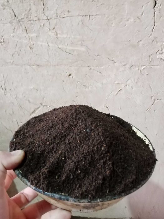 Biogomes Natural O‘g‘it