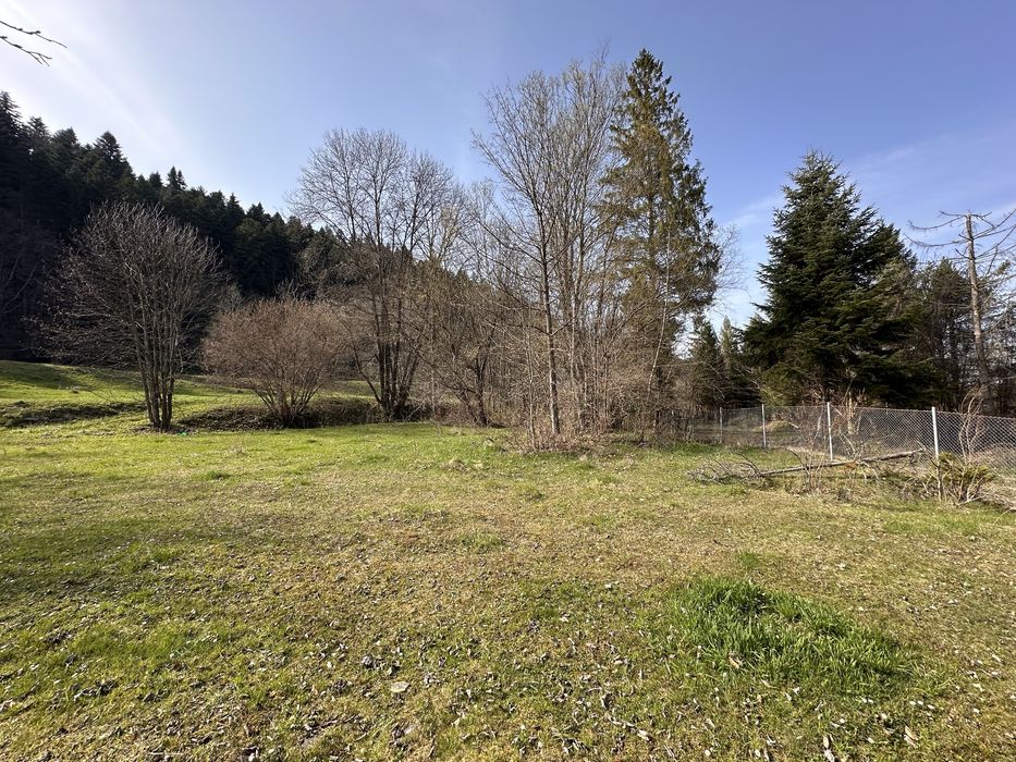 Vand 6888 mp in Putna Sv - ideal complex turistic / pensiune