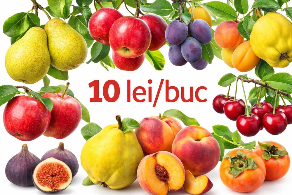 Pomi fructiferi altoiți