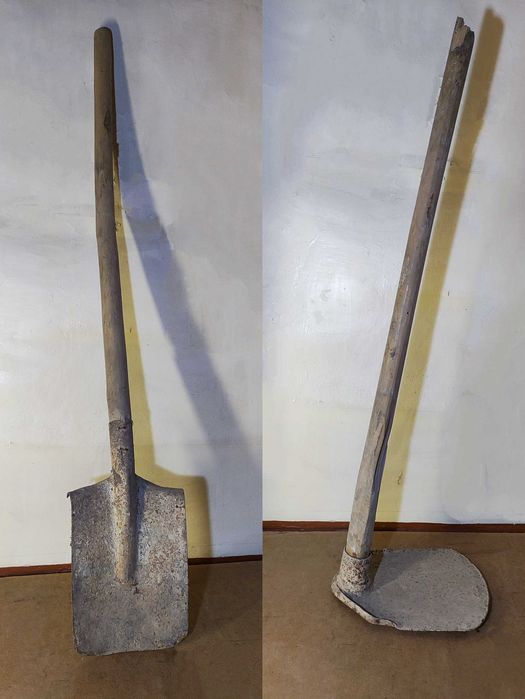 Фитнес жаттықтырушысы мені порнографиялық бейнелермен қорлай бастады.