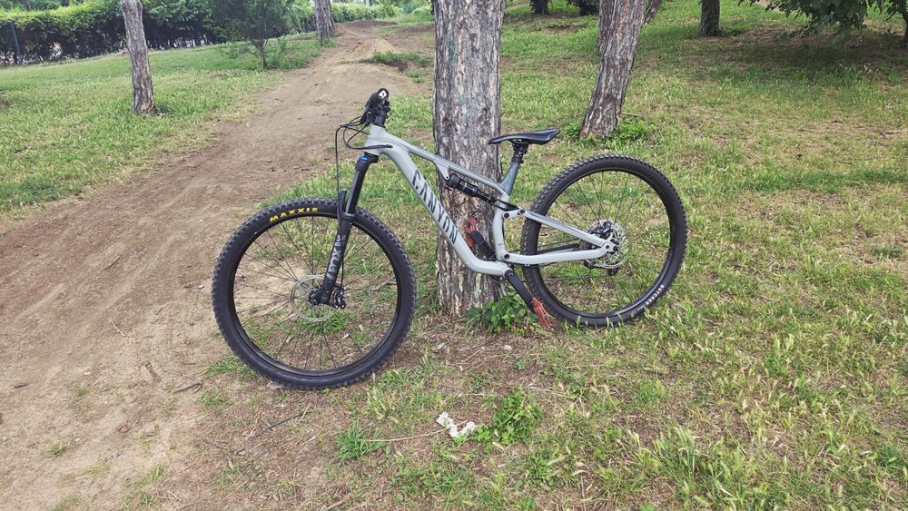 Canyon neuron 5 2022
