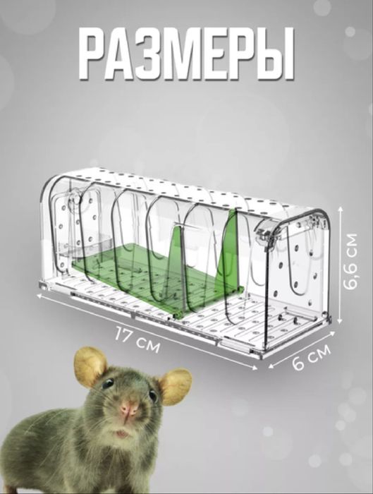 Гуманная мышеловка