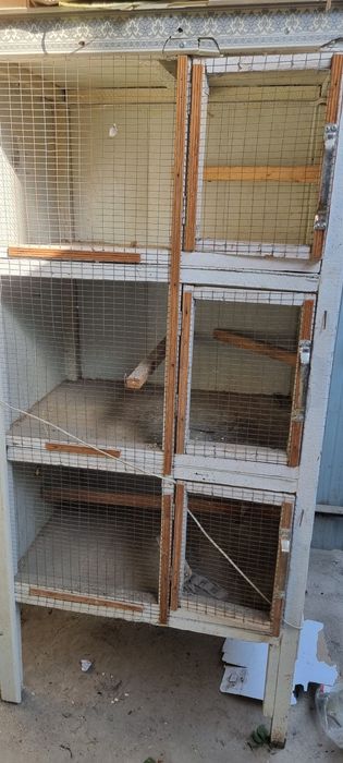 [Qush ini sotiladi sevet bor ichida ]