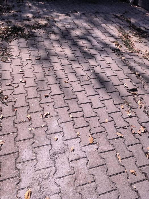 Брусчатка бесплатно отдам