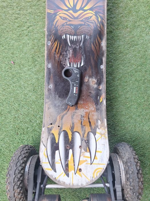 Skateboard electric