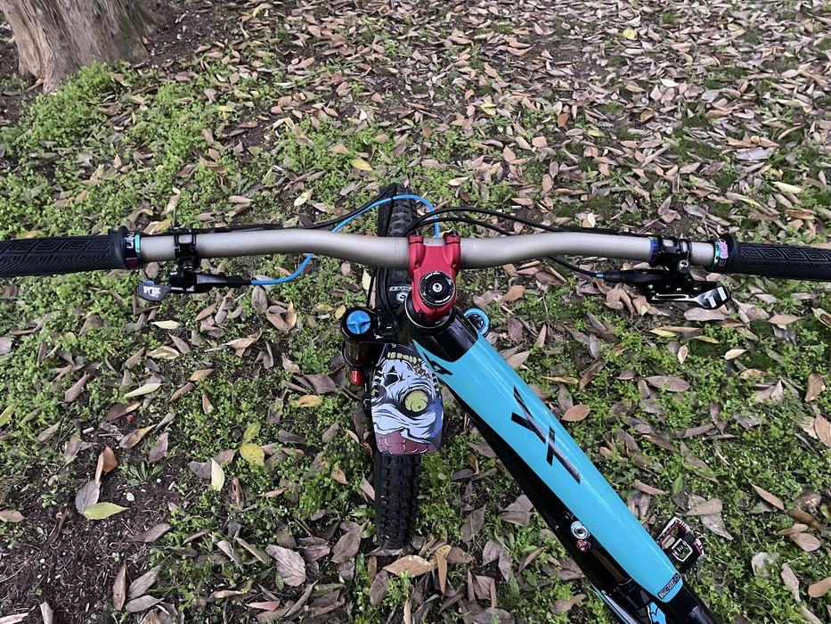 Yt capra 2018 kashima