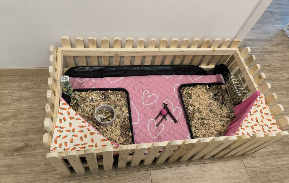 СПЕШНО Две морски свинчета и клетка