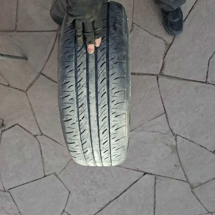 Балон летний.            .