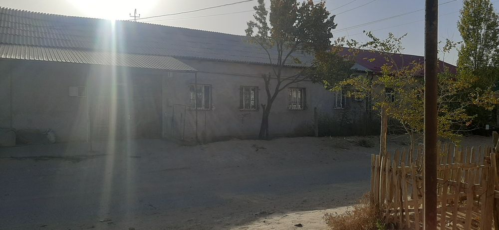 Оракбалгада уй сатылад 8 сутык