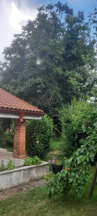 Casa Darvari Tamadau Mare Calarasi