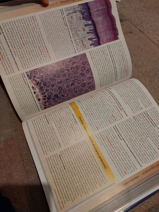 Atlas Histologie Ross