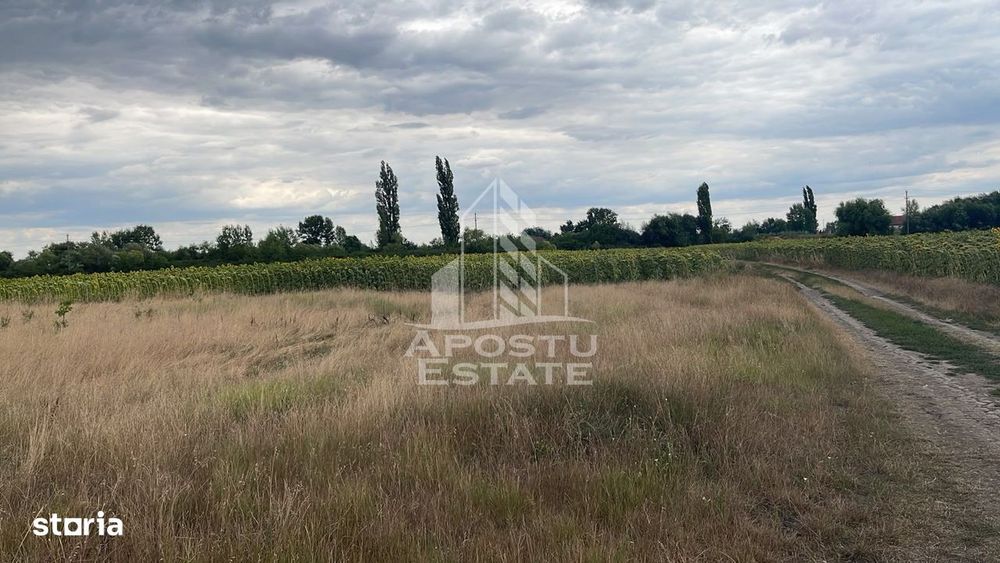 Parcela teren casa, intravilan, 1000 mp, Sanmihaiu Roman