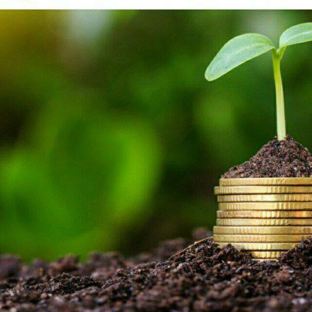 Биогомус  ог'ит  бог'лар учун.