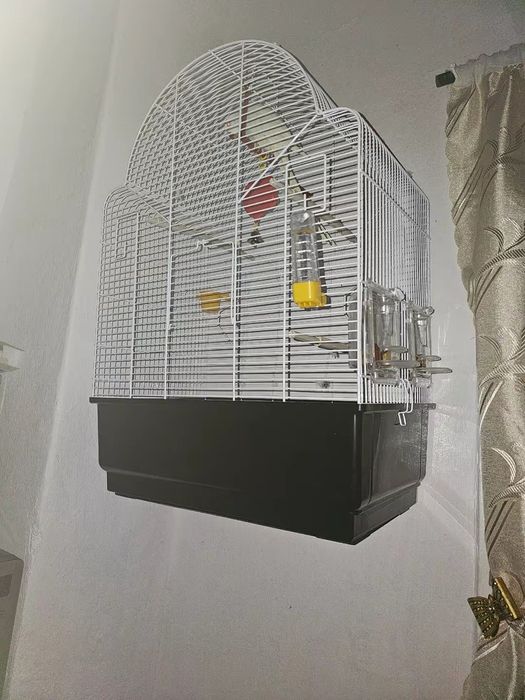 De vanzare micul alexandru