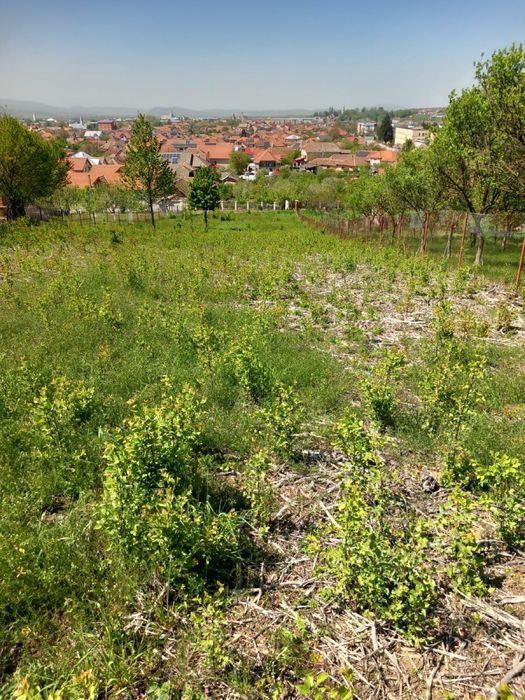 De vanzare in Beius, 28€/mp